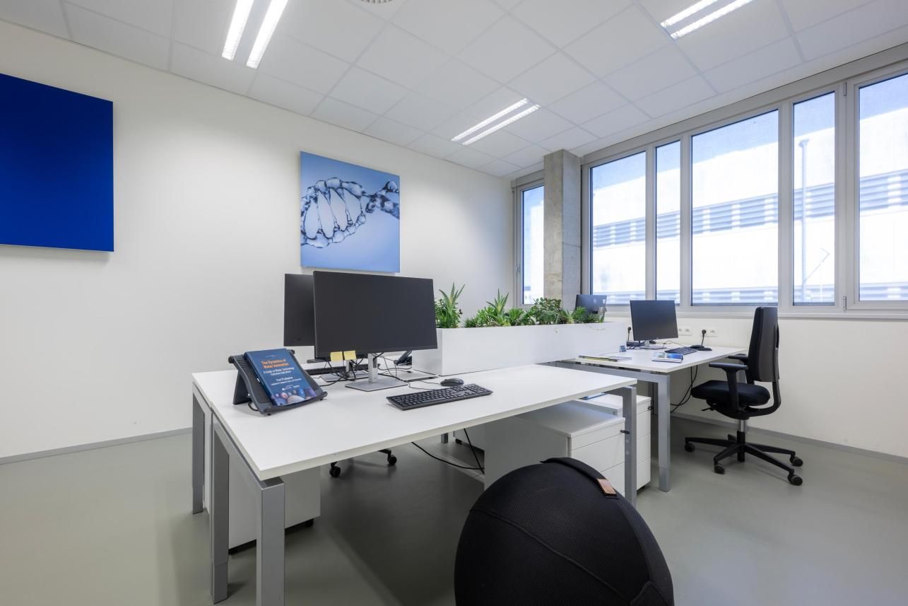 kantoor Oostende Bluebridge